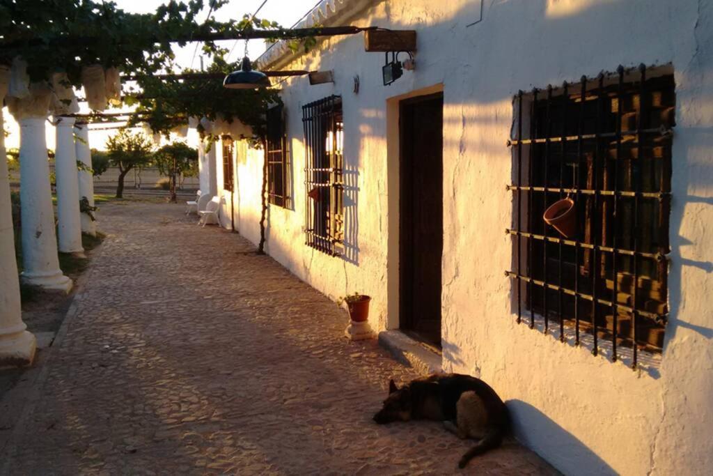Casa El Carmen * Ciudad Real