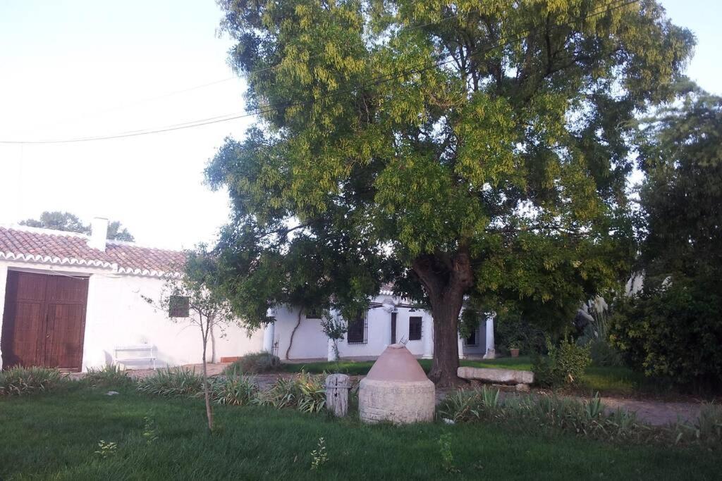 Holiday home Casa El Carmen *